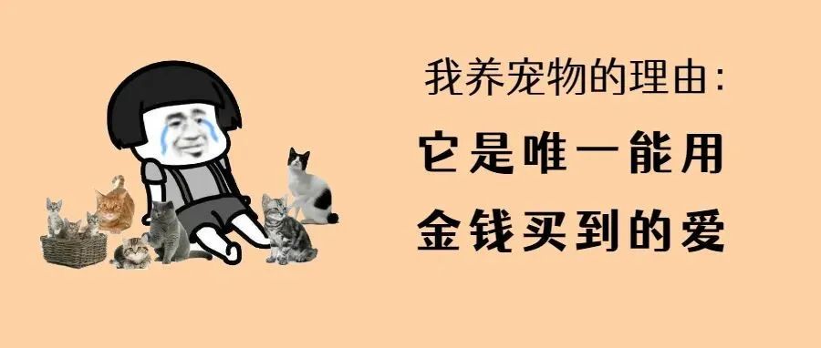 老婆怀孕，家里人逼我把宠物送走咋办？