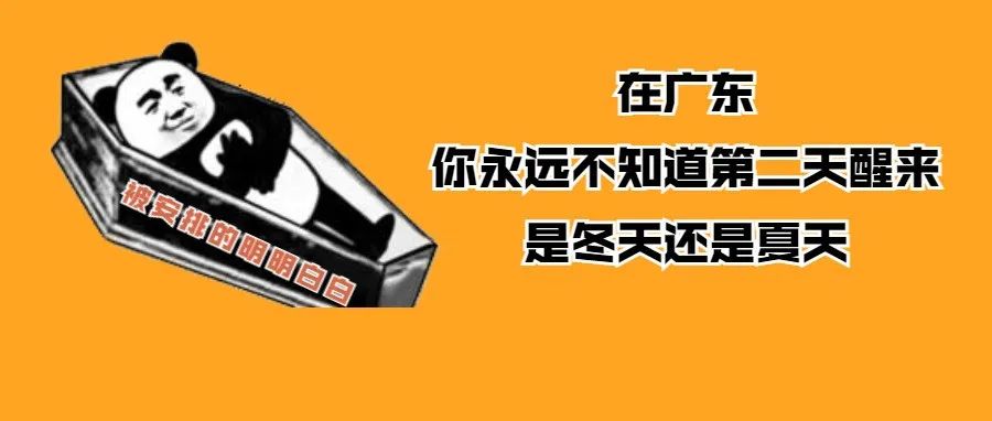真相 | 火化的时候，你的尸体会遭遇什么？