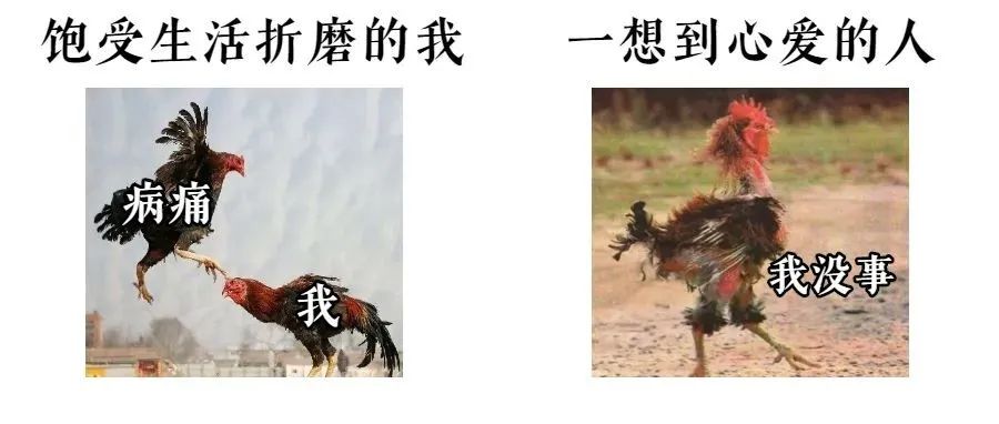 这根脏脏的管子上面，是我怀孕期间积累的结石