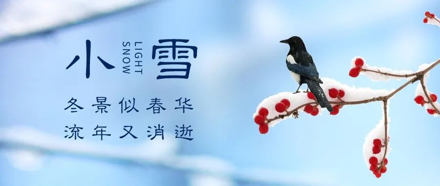 【小雪】天愈冷，寒更甚！养生六要素，健康过好冬！