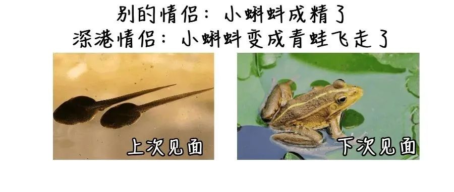 11月26日深圳新增境外输入2例无症状感染者！香港2人感染南非新变异毒株