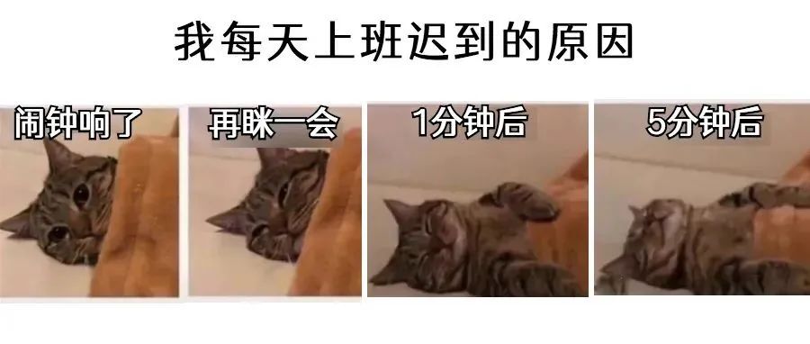 12月2日深圳新增3例境外输入无症状感染者！香港健康码12月10日上午9时开放申请