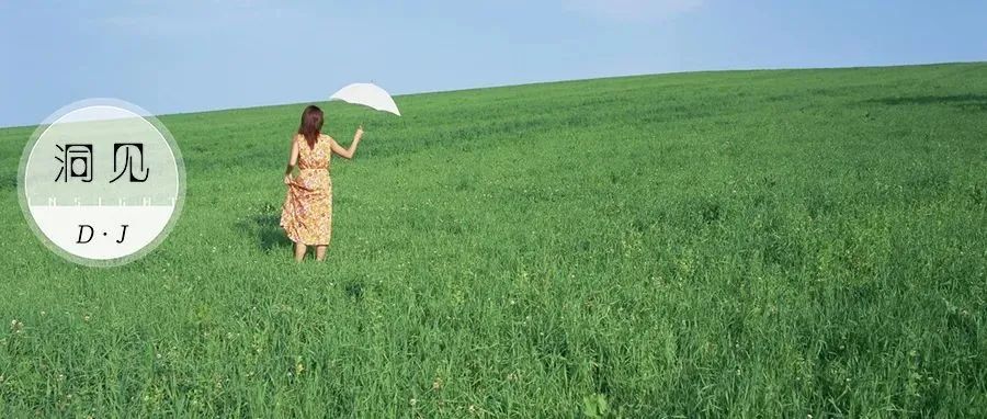 发人深省的“鸟笼效应”：你什么都舍不得扔，还谈什么生活质量