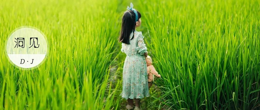 孩子是只流泪的蜗牛，当你忍不住对孩子发火，就来读读这篇文章