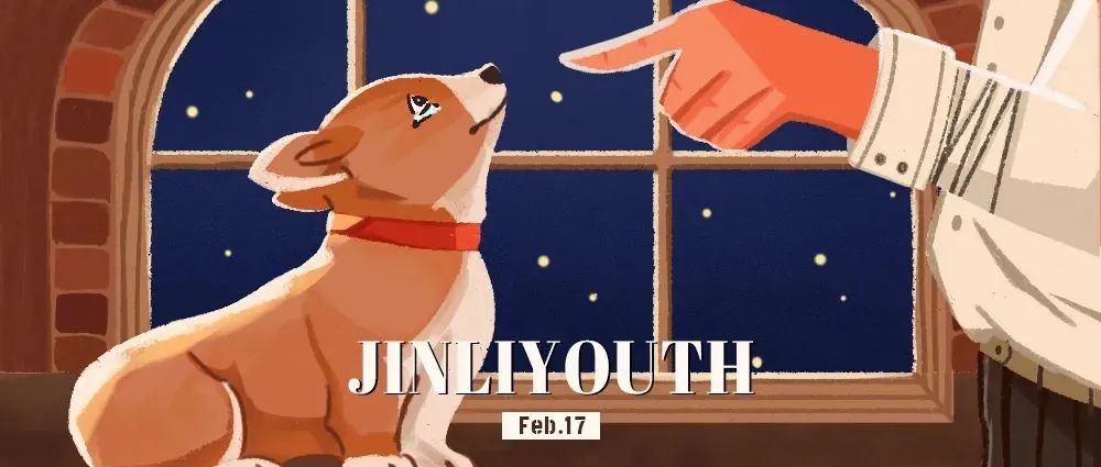 成为一只网红狗要经历多少虐待？