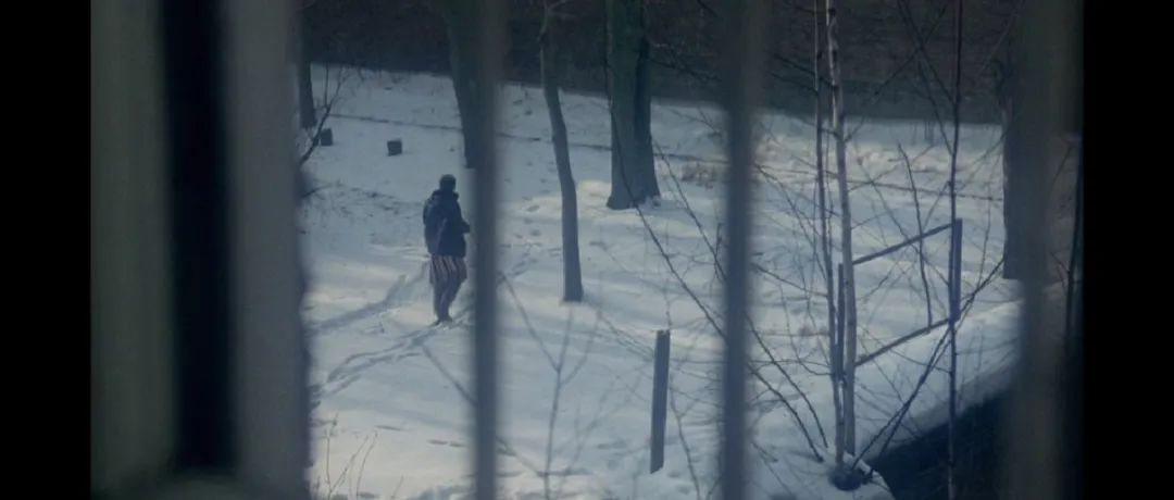 最近的上海，也挺难的