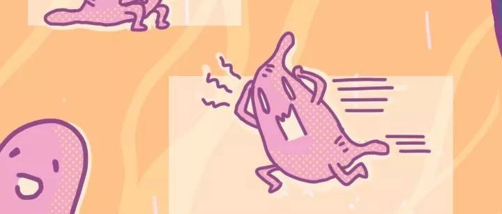 我的胃是就是这么坏掉的。