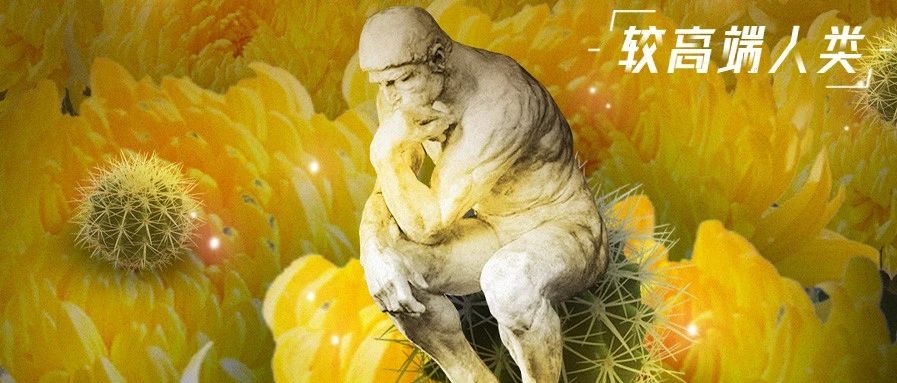 痔疮是怎么跑到你的菊花里的？