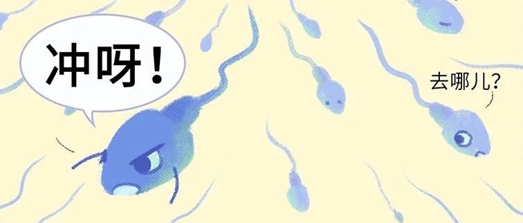 进入身体后的24小时，男人的精子在干什么？