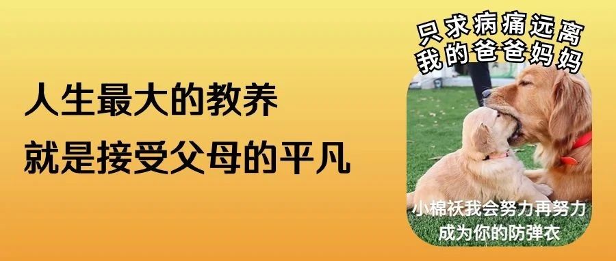 免费上门，不限户籍！为家里老人洗澡，深圳人不用精神内耗
