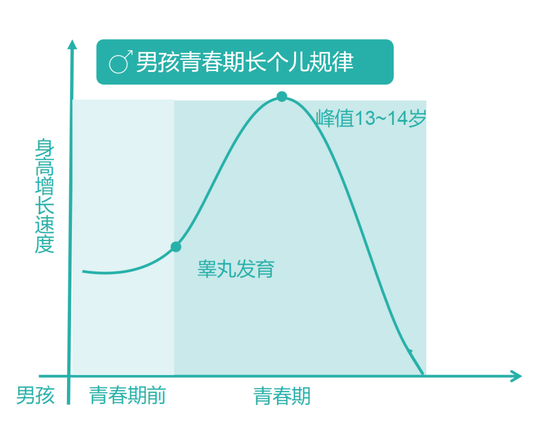 人的生长发育和青春期_word文档在线阅读与下载_无忧文档