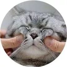 怎样快速瘦脸去皱纹？别说你还不知道这个办法