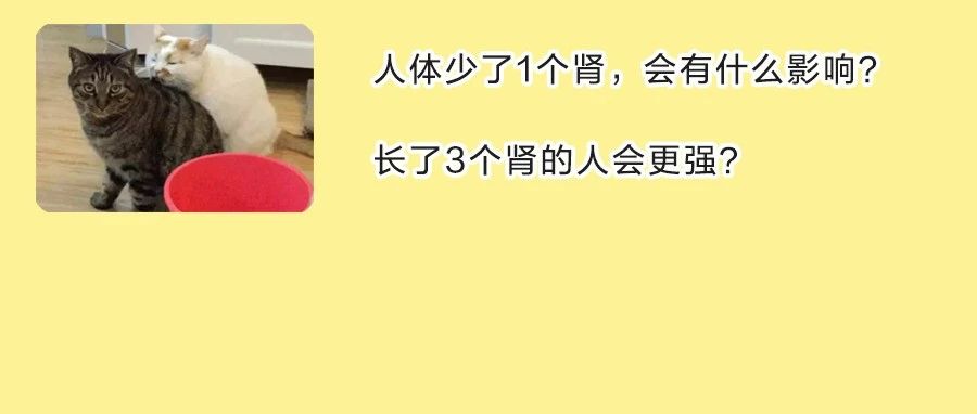 肾好不好，看脸就知道！