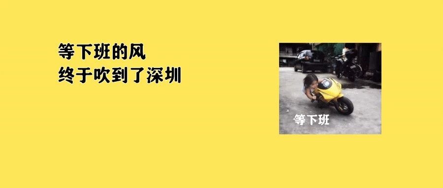 刚刚，深圳发布：下午4时起，全市“五停”