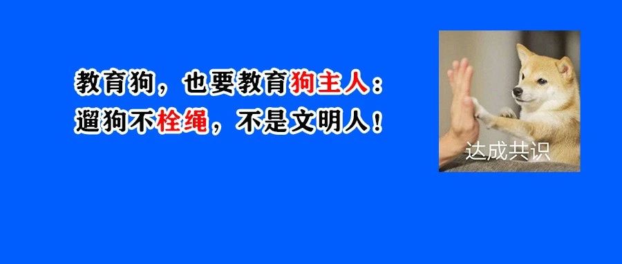 痛心！2岁女童遭恶犬撕咬！遇恶犬这招能救一命！