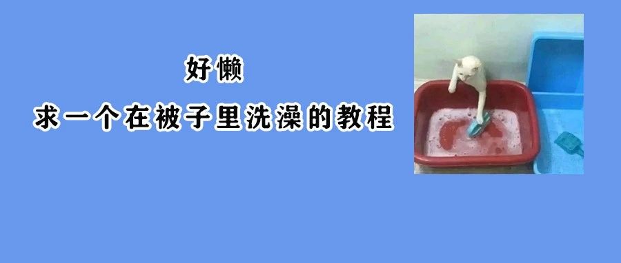 越“邋遢”的人越健康？这4个部位“脏”点反而更好！