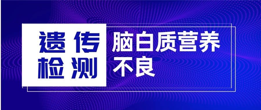 脑白质营养不良是什么？