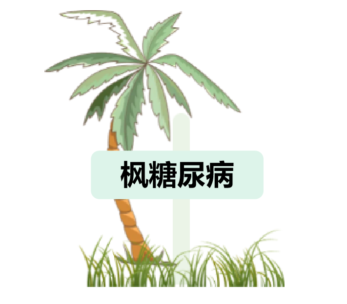 罕见病：枫糖尿病