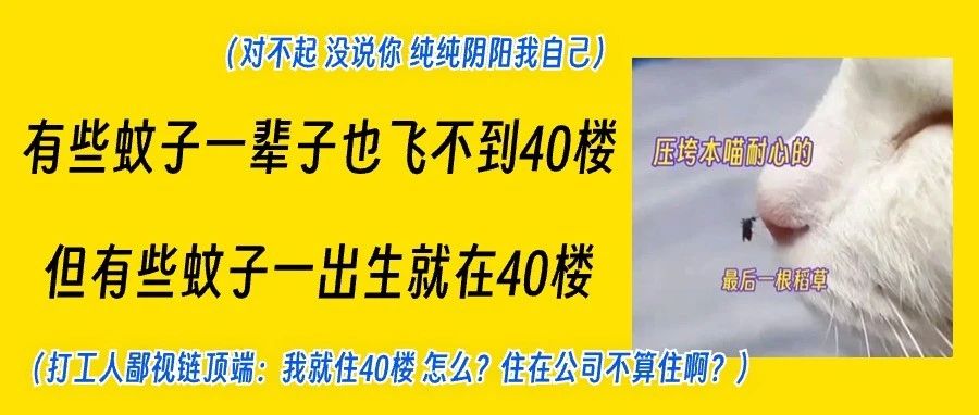 住的楼层越低，蚊子越多？