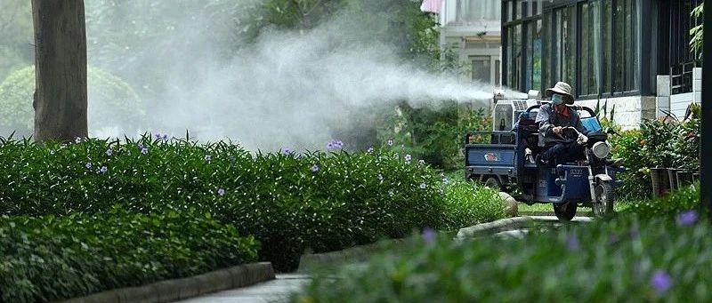 广东今年登革热爆发，住院量远超往年，气候变化后登革热流行会北上吗？