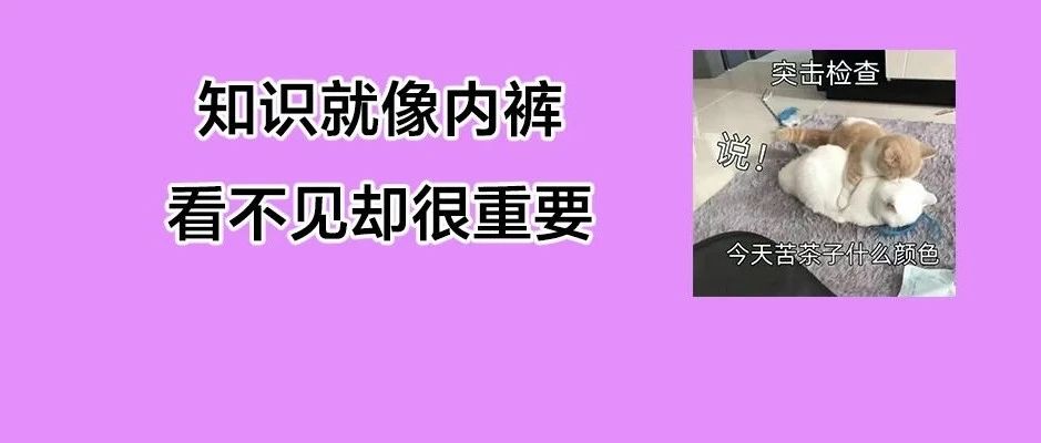 男生内裤VS女生内裤，谁的更脏？