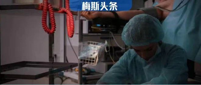 医生不能再擅自使用西地兰了？因未告知风险多名医生被处罚！