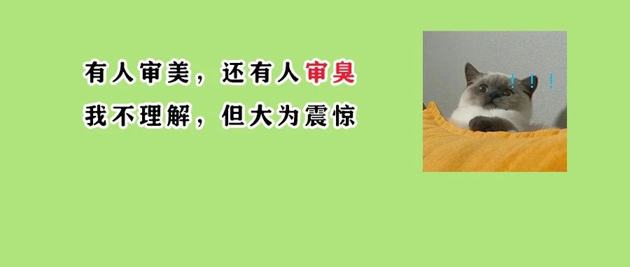 为什么有人脱袜子时，总是喜欢闻一下？