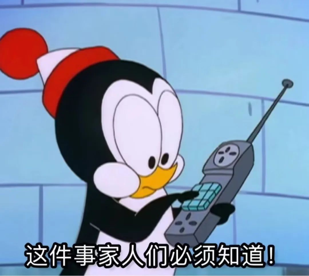 20bcf41a-d636-460f-bdb5-f5dfbf39fafd.jpg