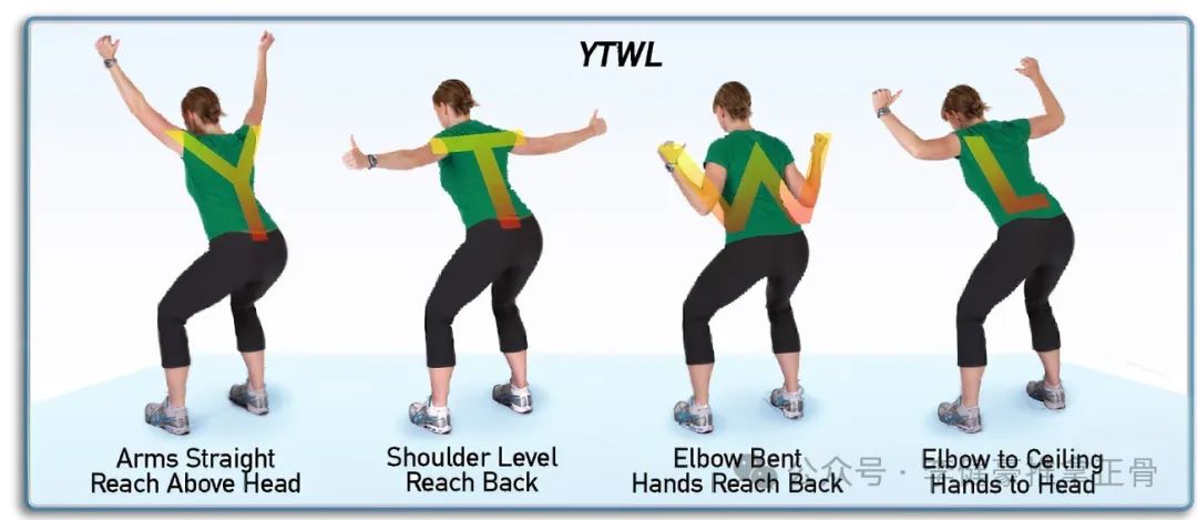 Strengthening Lower Trapezius - West Suburban Pain Relief
