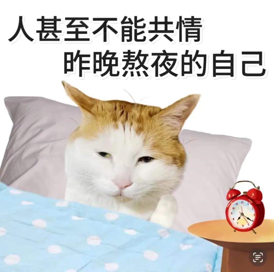 be96ea14-3ec1-4ecd-bc53-24e83a3a37c3.jpg