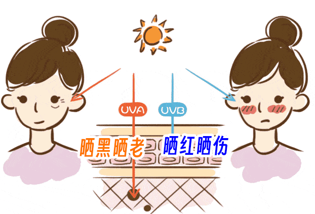 企业微信截图_17454621667758.png
