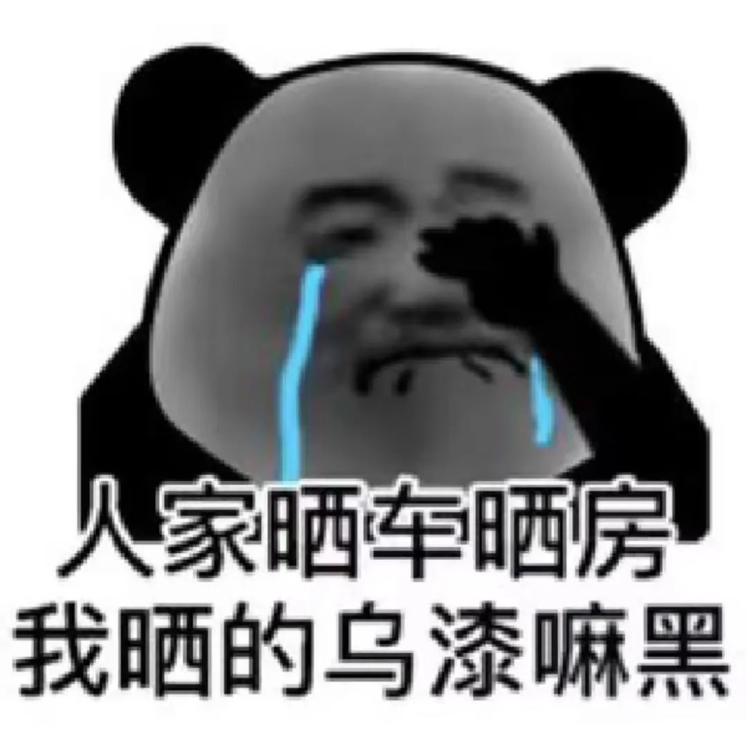 54ca4a23-9622-4f7e-bcbb-5ba52be59456.jpg