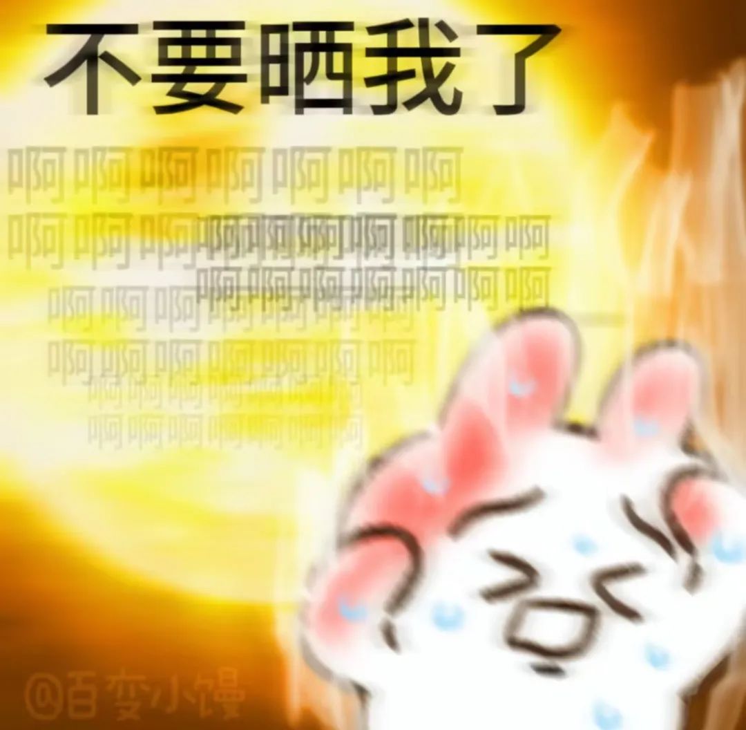 432be3a4-8b64-406a-9d9a-e1b63900ea98.jpg