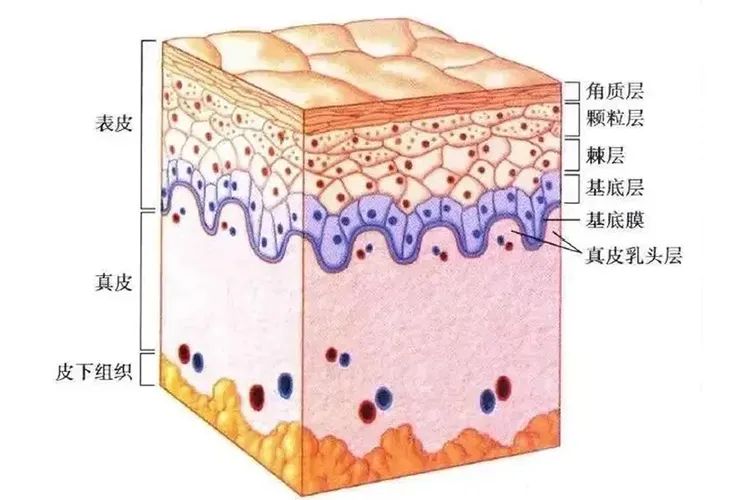 ae0ac37ca5f6d96f2a7357e88b9ec541_t043627968cc78cfaaf.jpg