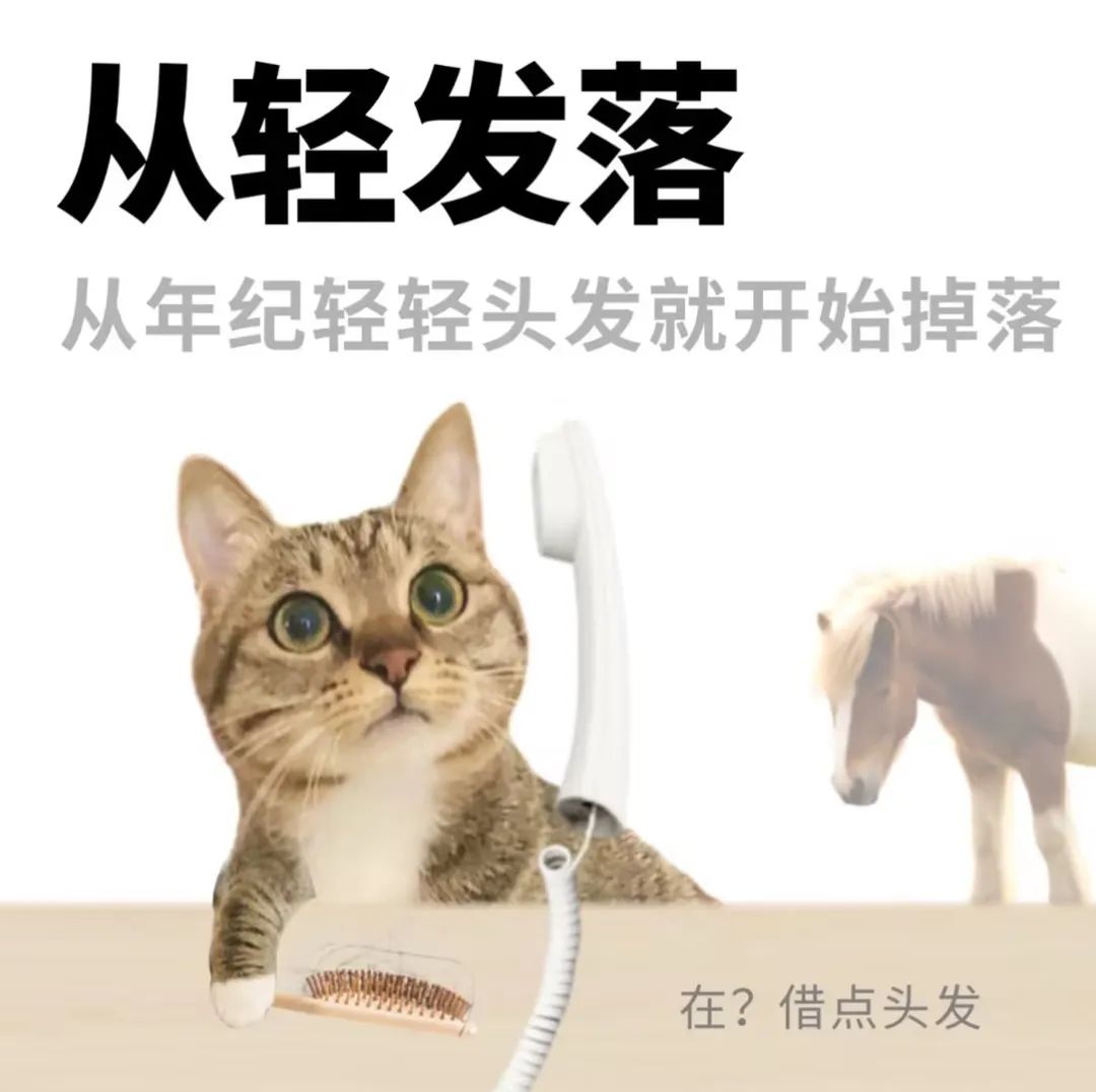 5457fe1f-8fe8-4cea-9602-bafb9fd2e9e7.jpg